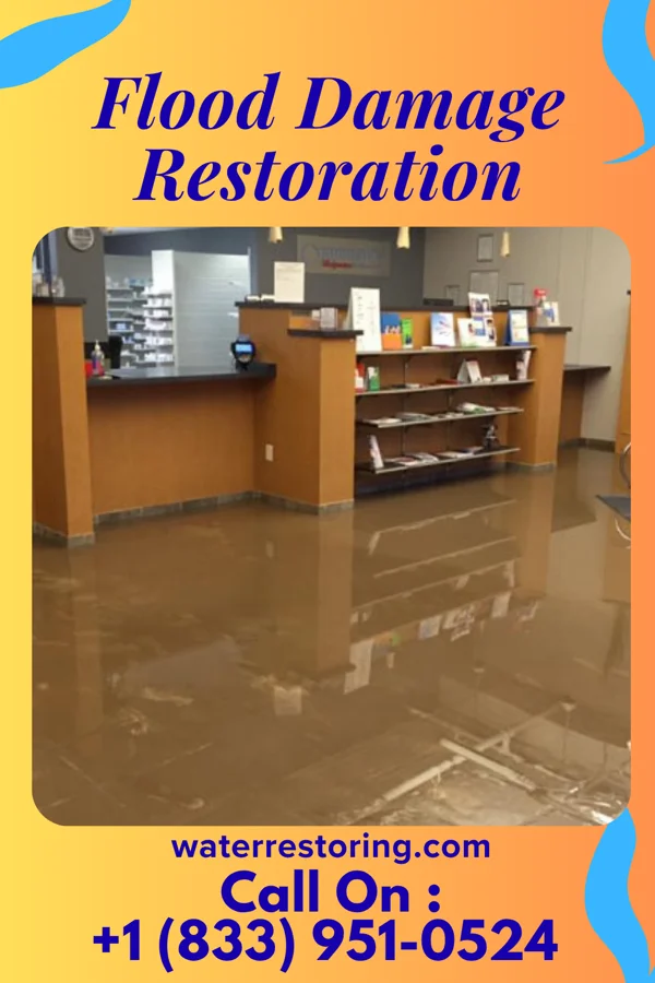Flood Damage Restoration in Loganville, WI
