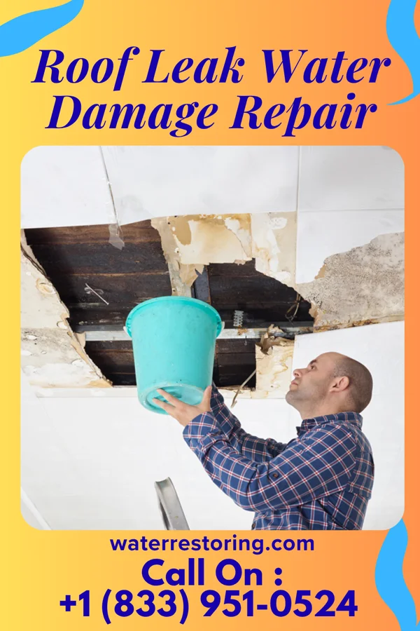 Roof Leak Water Damage Repair in Loganville, WI