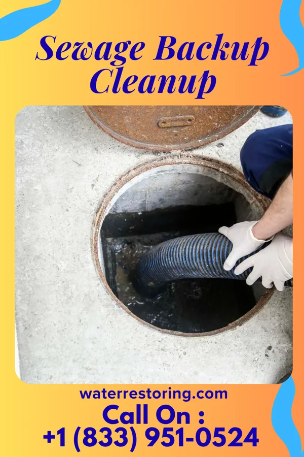 Sewage Backup Cleanup in Loganville, WI