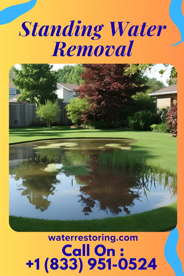 Standing Water Removal in Loganville, WI